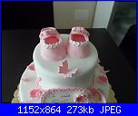 Il cake design di Stella-sam_0284-jpg