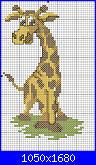 elefanti e giraffe-jirafik-jpg