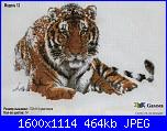 Animali esotici/selvatici-101613-74291-12793272-jpg