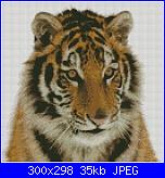 Animali esotici/selvatici-tigre-130x130-jpg