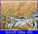 Animali esotici/selvatici-charivna-chm-tiger-siesta-jpg