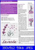 lavanda-163539-a5db6-23825712-jpg