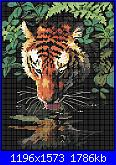 Schemi "Dimensions"-tiger_reflection_02-jpg