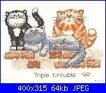 Le regole del gatto-triple-trouble-jpg