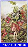 DMC The Flower Fairies (Cicely Mary Barker) *-black-bryony-fairy-jpg