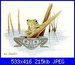 Sue Coleman - CS 314 - Frog-sue-coleman-cs-314-frog-jpg