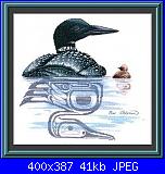 Sue Coleman - CS 4362 - Loon & Chick-sue-coleman-cs-4362-loon-chick-jpg