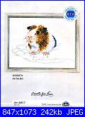 RTO - M817 - Warmth in Palms - Guinea Pig-cover-jpg