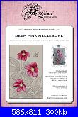 Blackwork Ladys e varie-deep-pink-hellebore-jpg