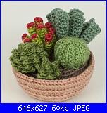 Fiori e piante amigurumi-cactus-1-jpg