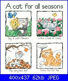 Gatti: "Home is where the cat is" e "A cat for all season"-cat-all-season-jpg