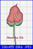 Cerco schema fiore anthurium-anthurium-rosso-ele-jpg