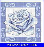 Rose Blu-rosa-blu-3-jpg