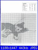 Copertina con gatto.-copertina-schema-2-jpg