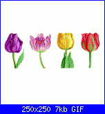 Calas Azules Guardare per credere.....-tulipani1a-gif