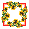 Avete schemi di papaveri e girasoli?-girasoli3a-gif