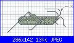 bestiole...( insetti ,formiche..ecc..)-8-jpg