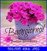 Domenica 19 maggio 2019-buona-domenica-036-591x595-jpg