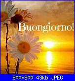 Mercoledì 12 giugno 2019-buona-giornata-5299834-jpeg