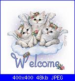 handi71: Introduction-welcome_gatinhos-jpg