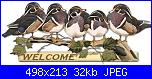 PASQUINA: Pasquina-08_duck_welcome-jpg