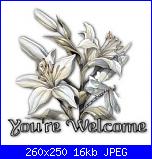 Rò...: mi presento-your_welcome_white_flowers-jpg