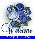 Rosa.ioffredo: Salve-welcome-1-jpg