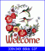 Manu57: Chi sono-hummingbirdflowers-welcome-gif