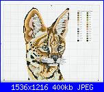 Cats of the world in cross stitch *-cats-world-023-jpg