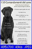 I 10 comandamenti-i-dieci-comandamenti-del-cane-jpg