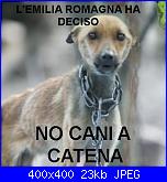 buone notizie : emilia romagna divieto catene per cani e...-299265_559561060744347_552794832_n-jpg