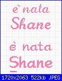 Gli schemi di sharon - 1-nata-shane-jpg