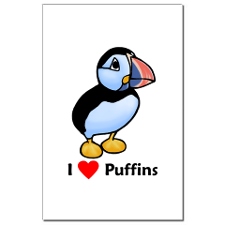 puffin