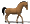 cavalli 2