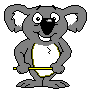 koala 8
