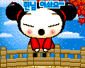 pucca 98
