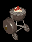 barbecue 27