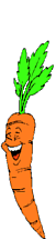 carote 31