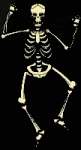 scheletri 28