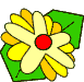 fiori 84