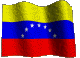 bandiera venezuela 10