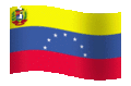 bandiera venezuela 14