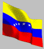 bandiera venezuela 19