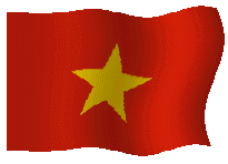 bandiera vietnam 20