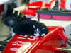 F1 gatto che dorme su macchina