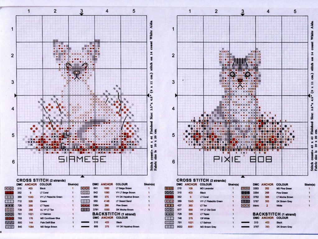 Schema punto croce Gatti Siamesi