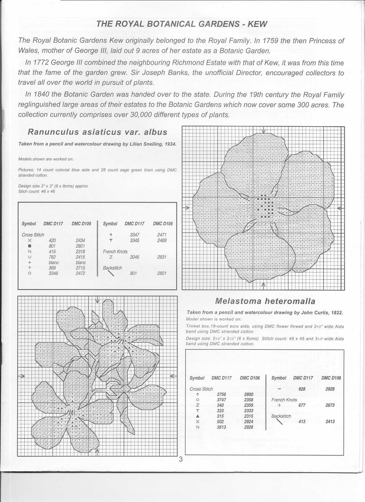 Schema punto croce Bordi Floreali 66