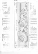 Schema punto croce Fiori 13