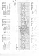 Schema punto croce Fiori 23