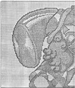 Schema punto croce Pagliaccio Sdraiato 02